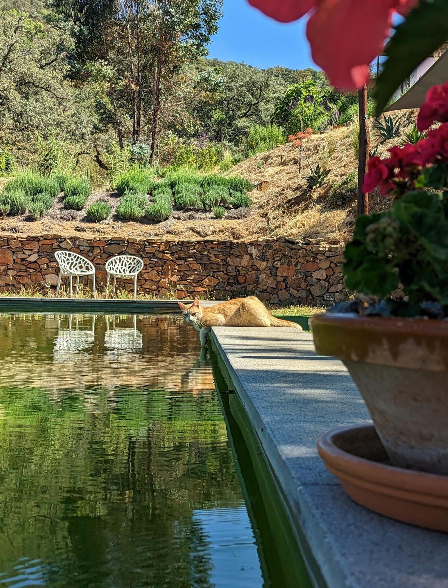 Finca Bravo Cortegana Ngoại thất bức ảnh